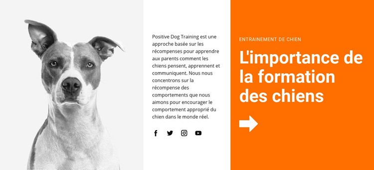 Formation de chien à l'école Conception de site Web