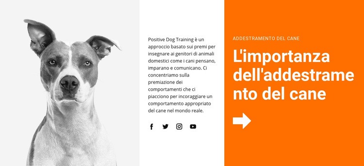 Addestramento del cane a scuola Costruttore di siti web HTML