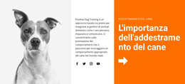 Addestramento Del Cane A Scuola