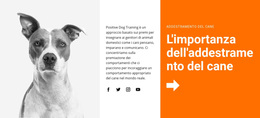 Addestramento Del Cane A Scuola - Tema WordPress Scaricabile Gratuitamente