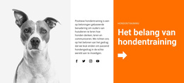 Hondentraining Op School - Gratis Download Van WordPress-Thema