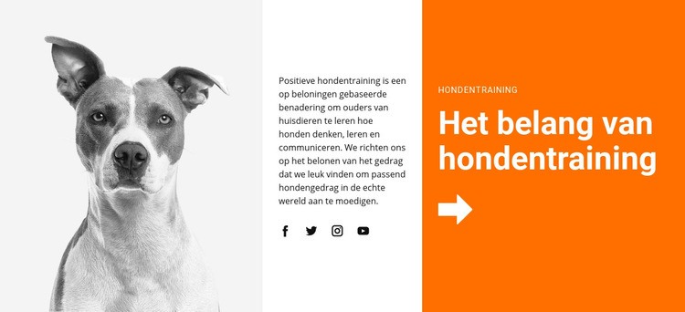 Hondentraining op school Website mockup