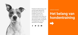 Hondentraining Op School - Eenvoudig Websitesjabloon