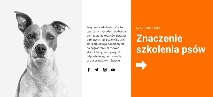 Szkolenie psów w szkole Kreator witryn internetowych HTML