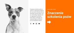 Szkolenie Psów W Szkole Szablon CSS Premium