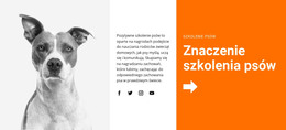 Szkolenie Psów W Szkole #Html-Templates-Pl-Seo-One-Item-Suffix
