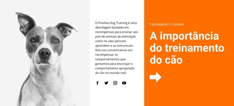 Treinamento de cães na escola Design do site