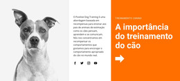 Design HTML Para Treinamento De Cães Na Escola