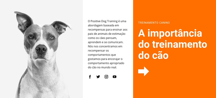 Treinamento de cães na escola Tema WordPress