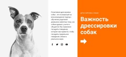 Дрессировка Собак В Школе – Загрузка Шаблона Веб-Сайта