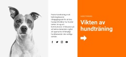 Hundträning I Skolan Premium CSS-Mall