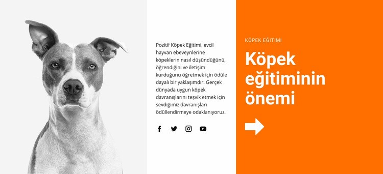 Okulda köpek eğitimi HTML5 Şablonu