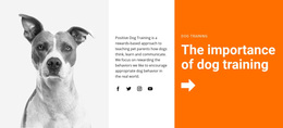 Dog Training At School - Ultimate Web Page Design