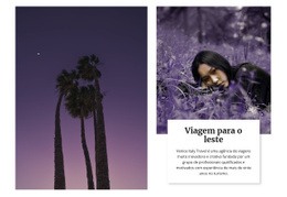 Melhor Site Para Direções Orientais