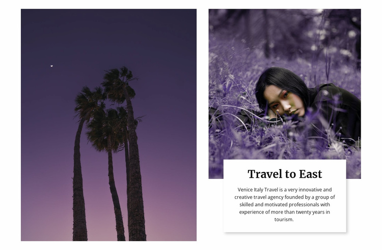 Eastern directions Website Template